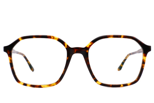 LT12 ALMA col.Yellow Tortoise